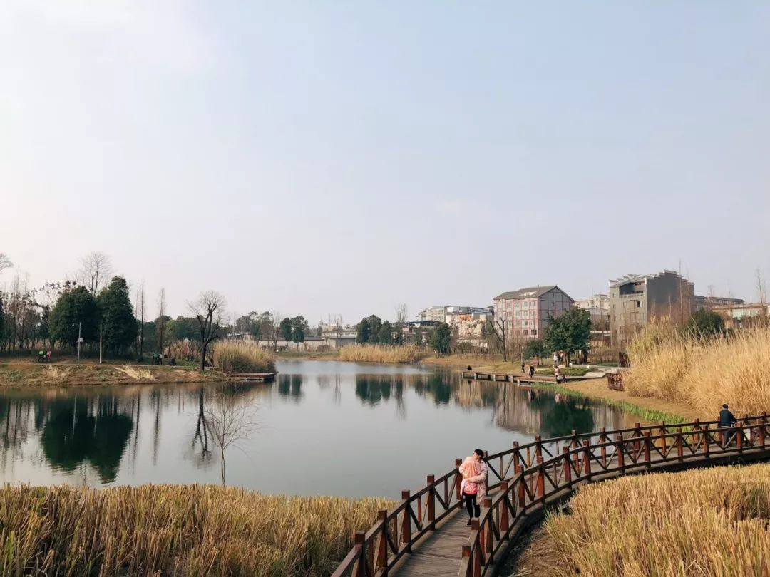 成都最新公园消息,成都陆续开放的公园