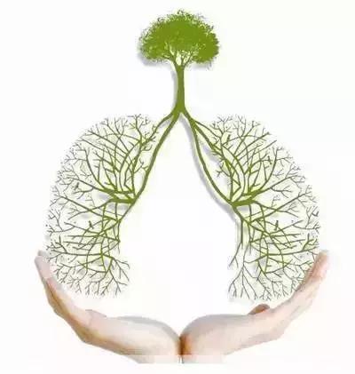 别错过了！深圳14项公卫服务全部免费！非深户也能享受！