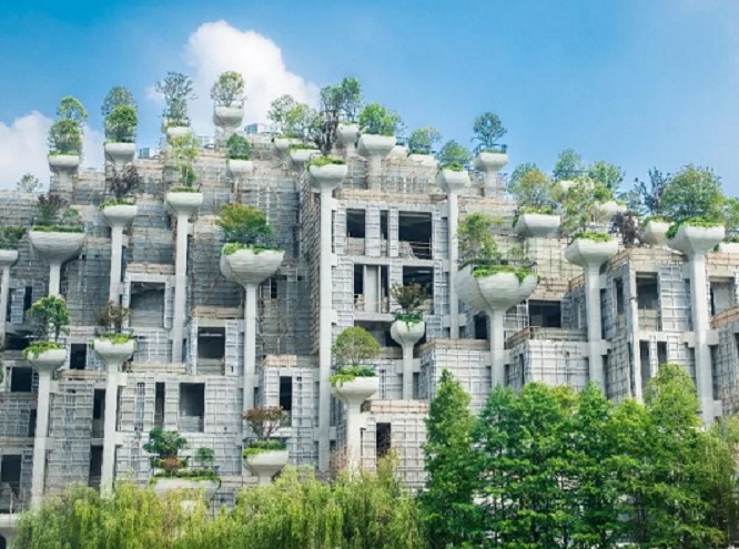 与其等待给予，不如奋力追求：马瑞王室妇女对男女平权唯一的回答