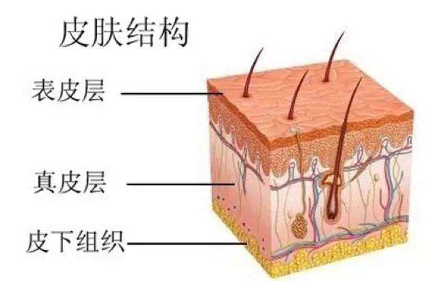 新冠病毒的传播途径和防护措施,面对新冠肺炎疫情大家如何预防