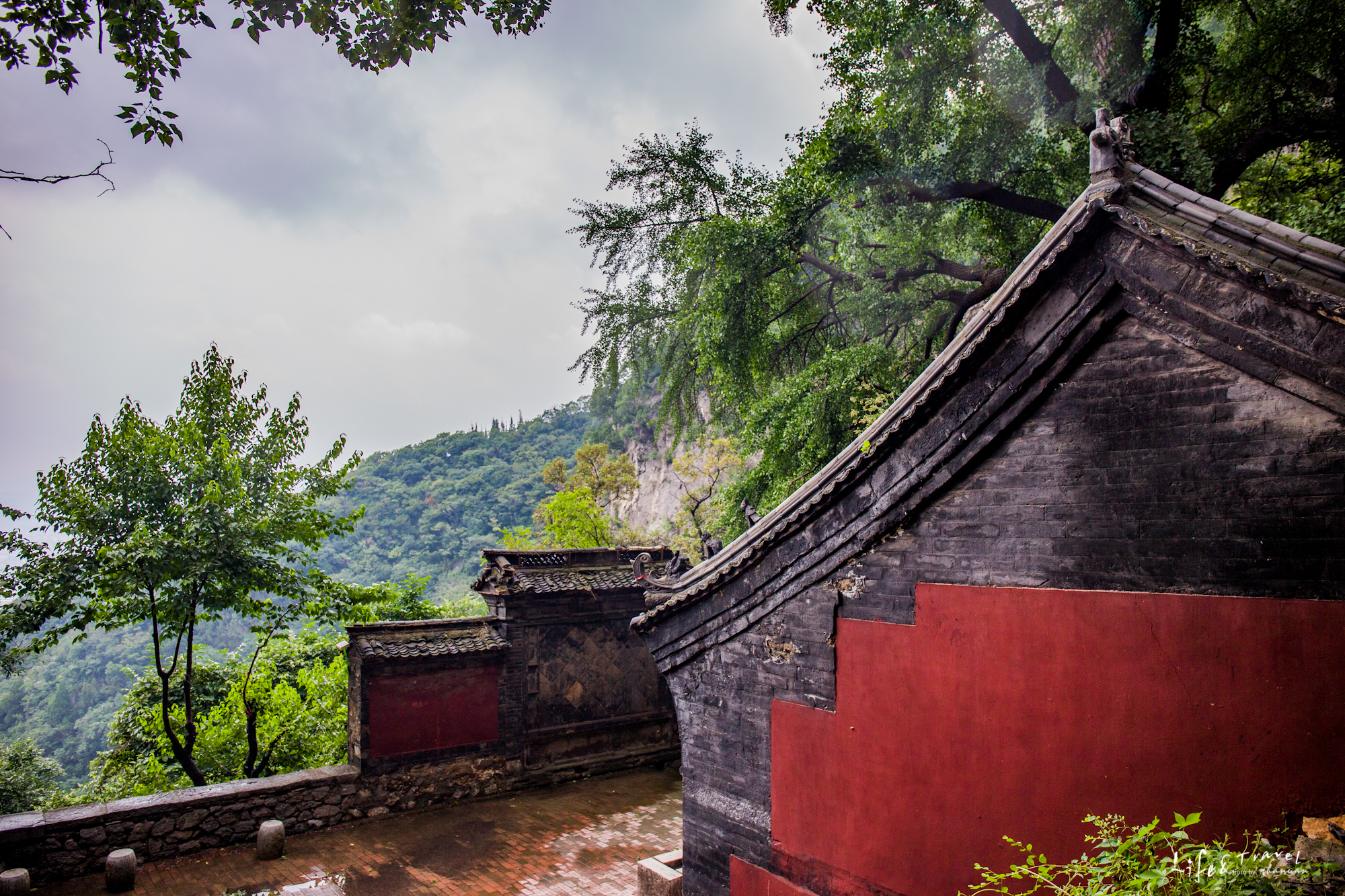 淄博看红叶的免费景点,淄博看红叶不用爬山的免费景区