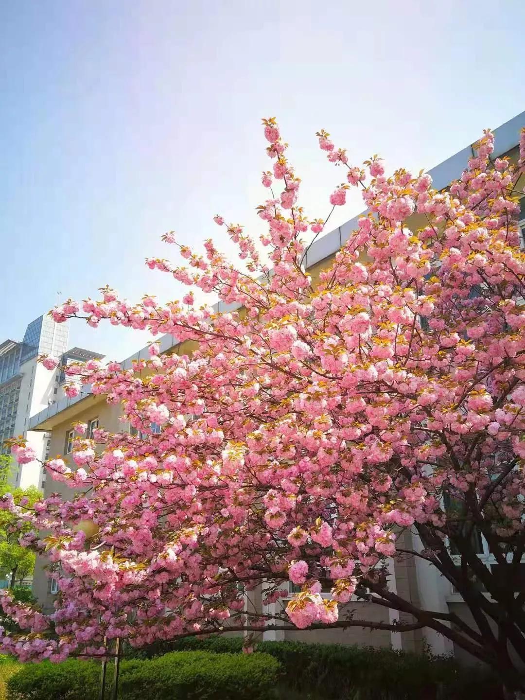 江苏财经大学,南京财经大学双非院校排名