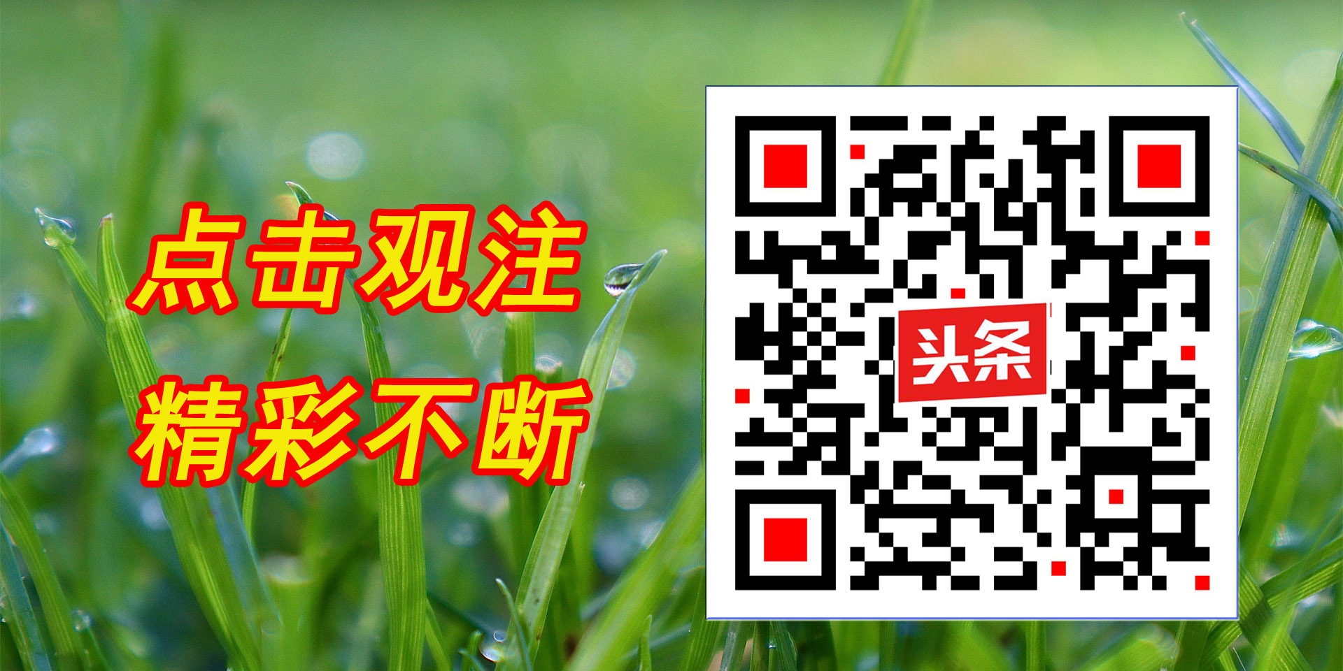 大风起兮情飞扬“疫”线防控勇担当市发改委价格认定中心战“疫”