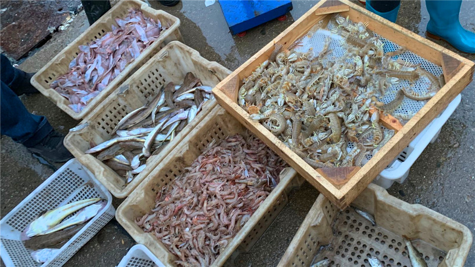 牛肉羊肉和虾肉哪个好,牛肉羊肉和虾哪个营养好