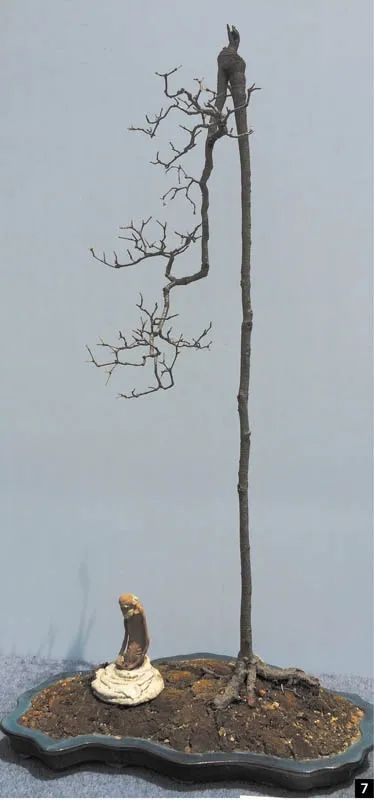 盆景修行,学习盆景技术最好的书