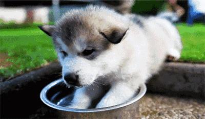 一天老累怎么缓解疲劳,高效休息4个方法帮你缓解疲劳