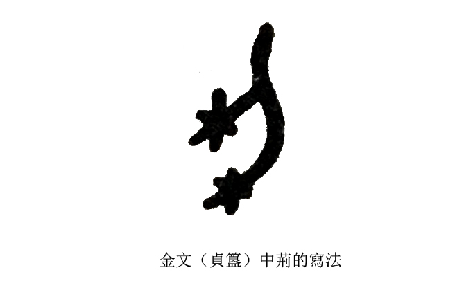 汉字说：“萌”和“芽”的区别是什么？