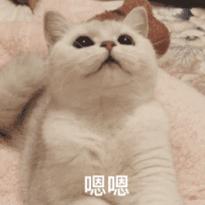 经期遇上浑身疼痛怎么办,经期闹心怎么缓解