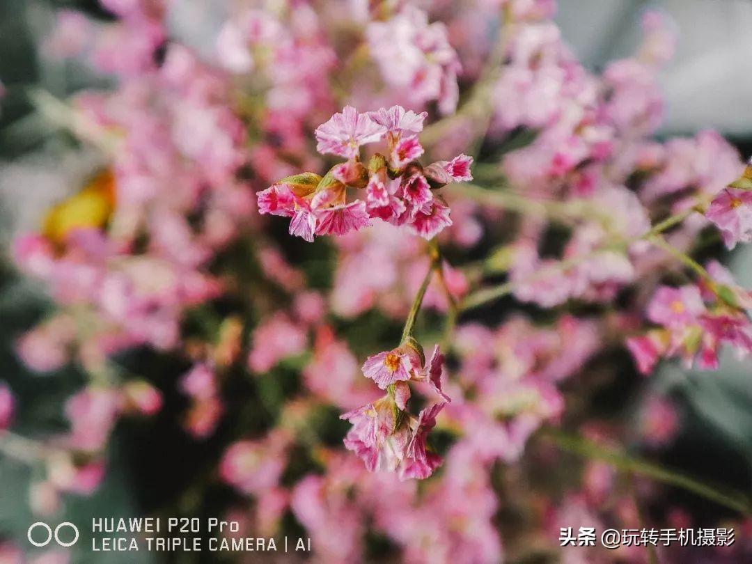 华为手机摄影课程,最全的华为手机摄影教程下载免费