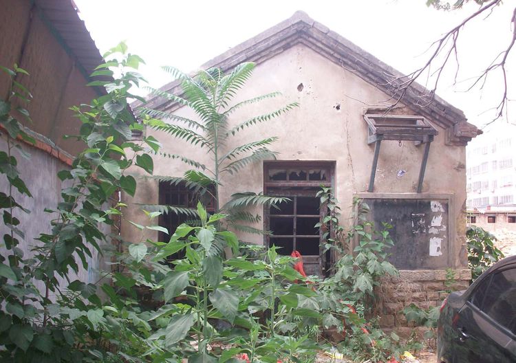 外国游客夸赞中国,外国友人赞美中国