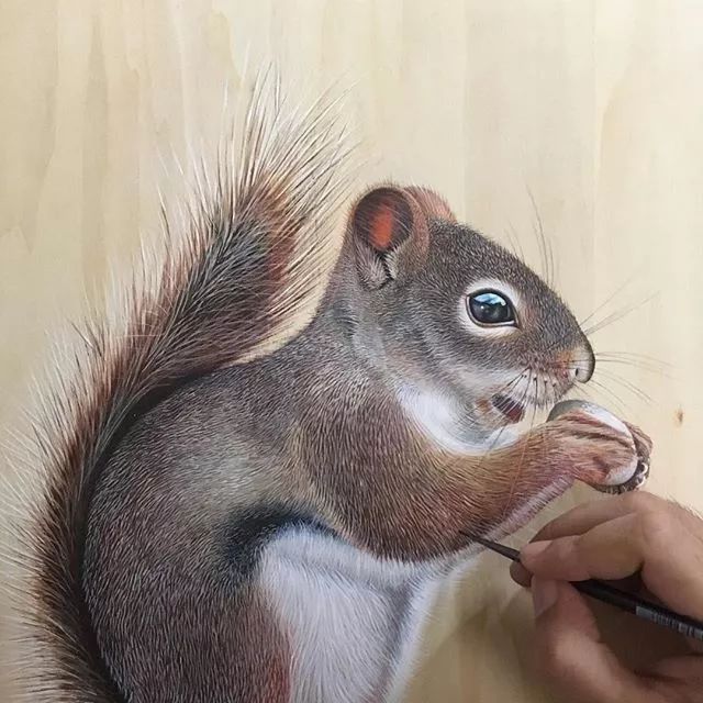 3d立体画写实彩铅,超写实彩铅手绘细腻的让人咋舌