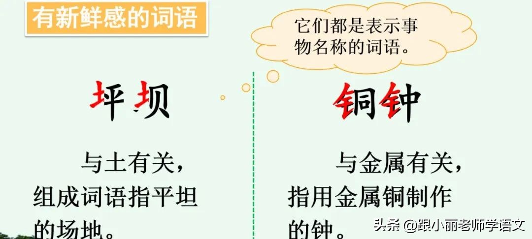 大青树下的小学重要背诵内容,大青树下的小学重点知识点