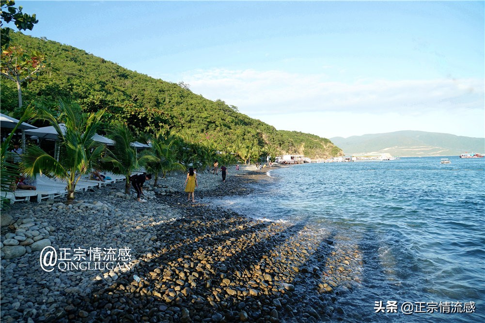 芽庄印象｜|想说爱你不容易