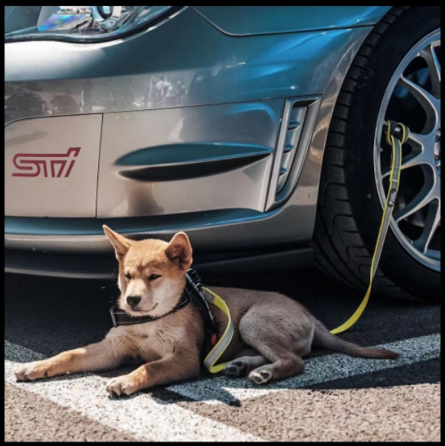 斯巴鲁sti耐造吗,斯巴鲁最好的sti