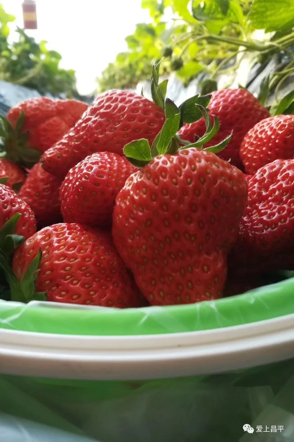 露营抓住五一假期的小尾巴,昌平民宿自驾游推荐