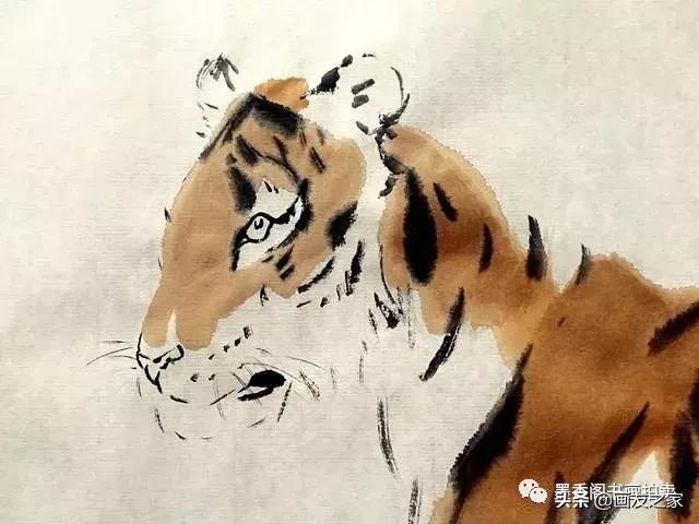 蔡育贤写意老虎的画法,写意老虎画法教学视频