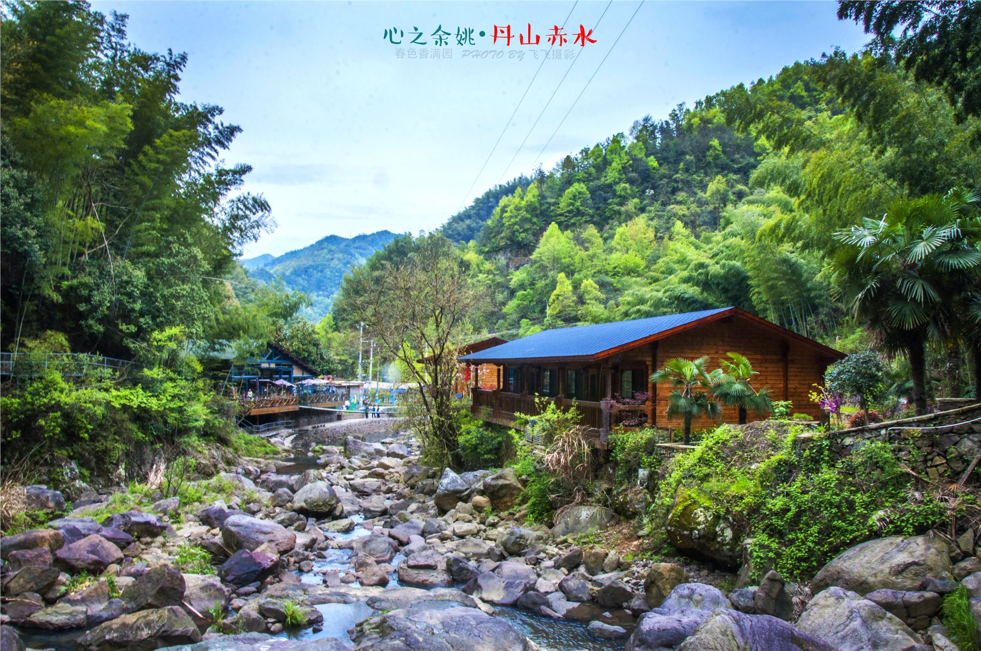 丹山赤水的老柿林景区,丹山赤水柿林古村