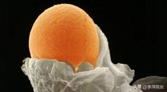 打了绒促针,卵泡还是不排,会是什么原因导致的