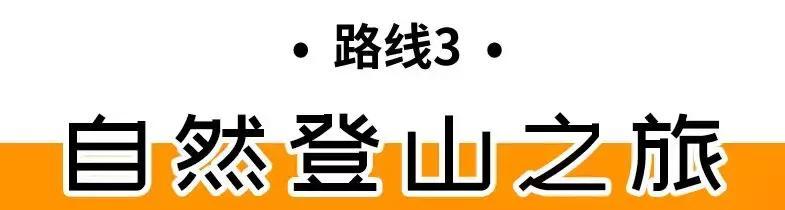 深圳旅游4天最佳路线,深圳出发四天旅游攻略推荐