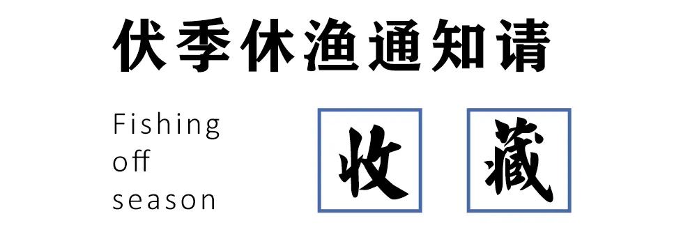 别“吃瓜”,吃海鲜!吃货们做好“时间管理”,封海将至!