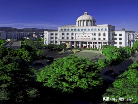 工作“拍了拍”你，一大波见习岗位等你来pick！