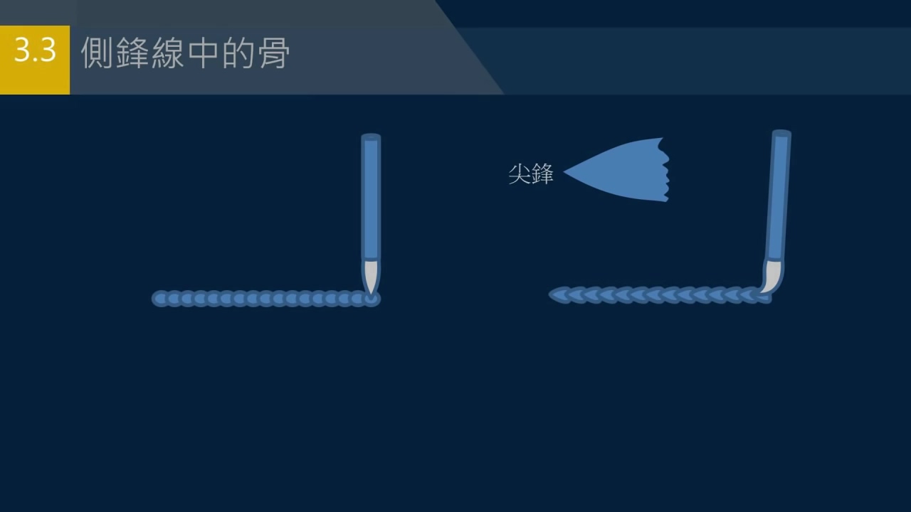 骨线是哪个部位,骨骺线的准确位置图