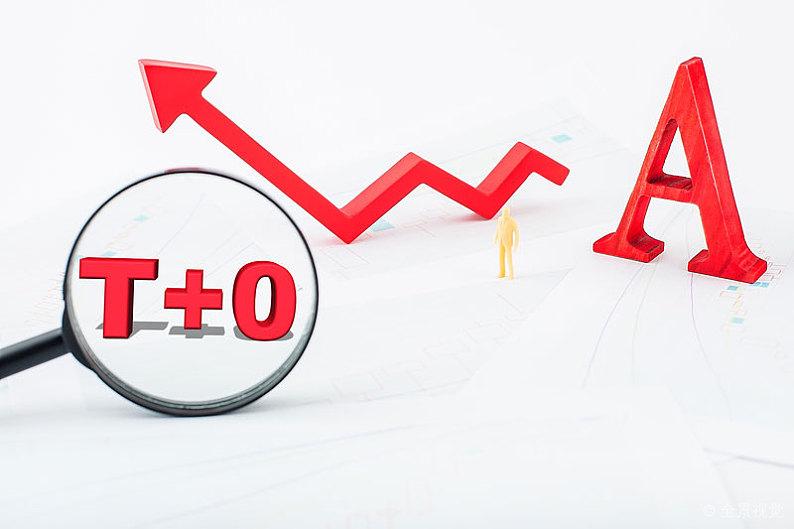 大盘蓝筹股实行t+0,专家建议蓝筹股t加0试点