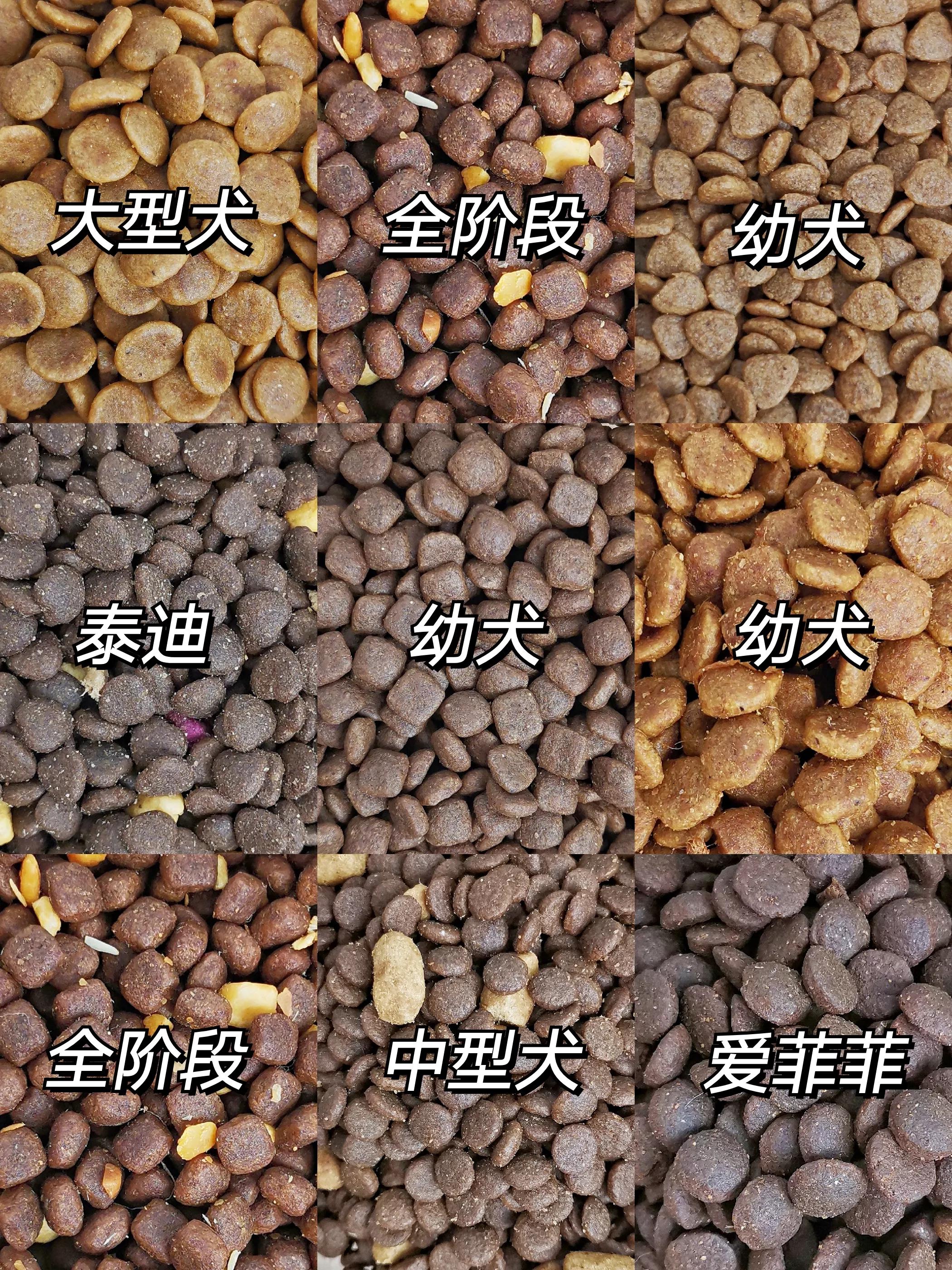 狗粮推荐平价6-12个月,花时间整理