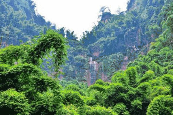 四川凉爽的十大避暑地,四川避暑康养最佳地是哪里