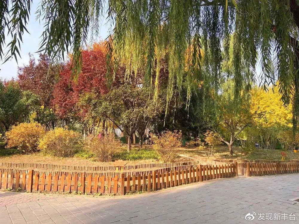 丰台赏秋景最好的地方,丰台赏秋好去处