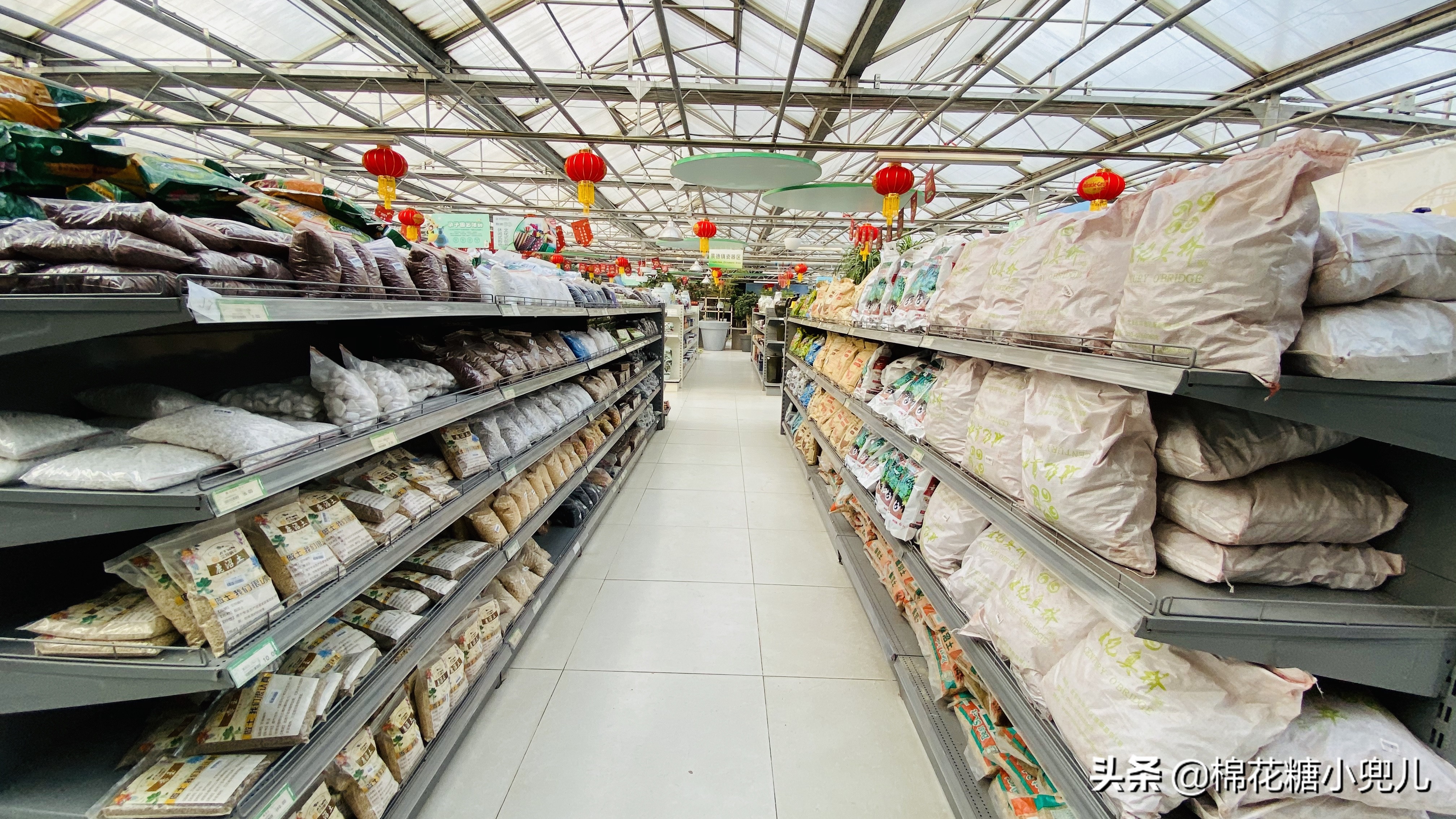 北京最大花卉绿植市场,北京最便宜绿植花卉市场