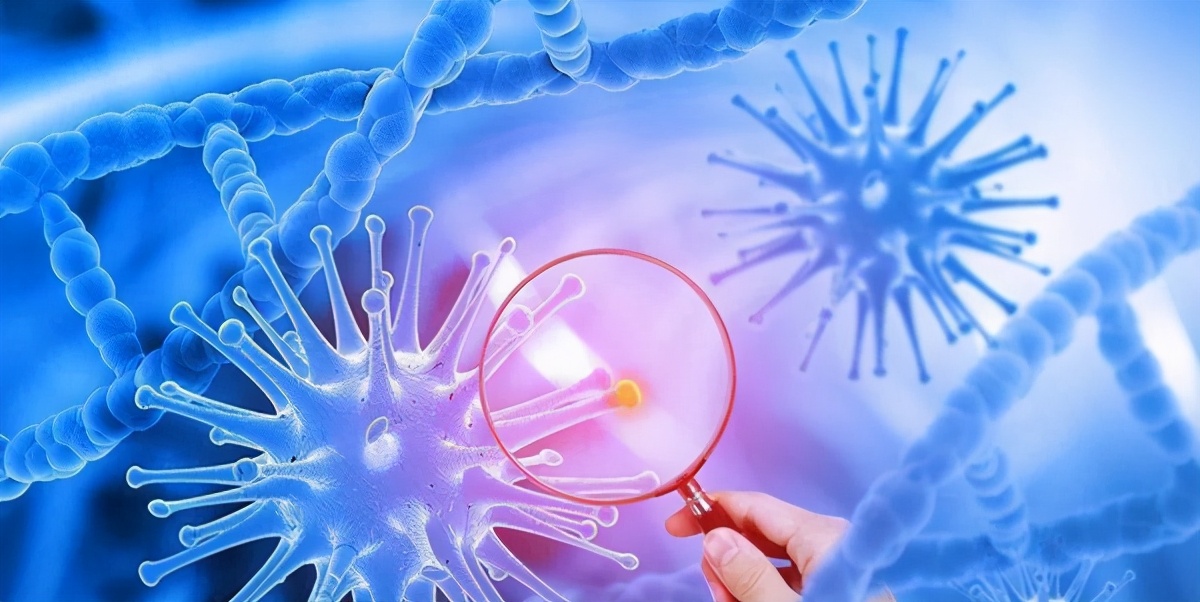 手术中的病理检查准确率高吗,手术病理