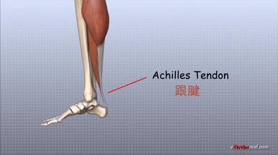 宝宝走路喜欢踮脚尖,宝宝走路喜欢踮脚正常吗
