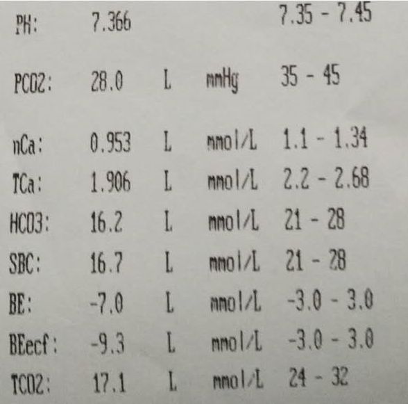 医学生教育系列知识一血气分析