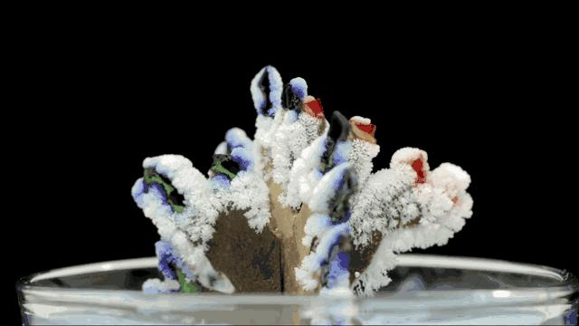 用纸做花放水里盛开的视频,用纸做花朵放水里盛开