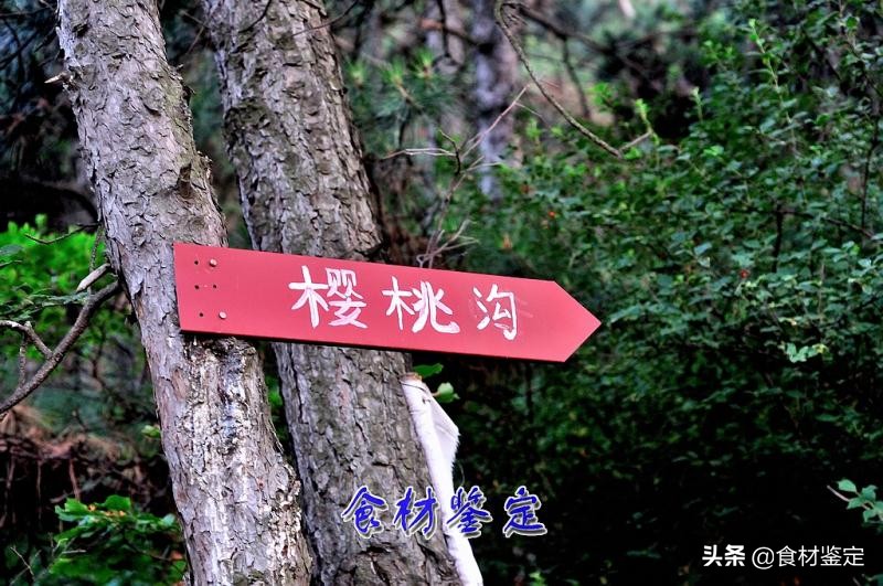 沈阳周边自然风光一日游的地方,沈阳隐秘的地方