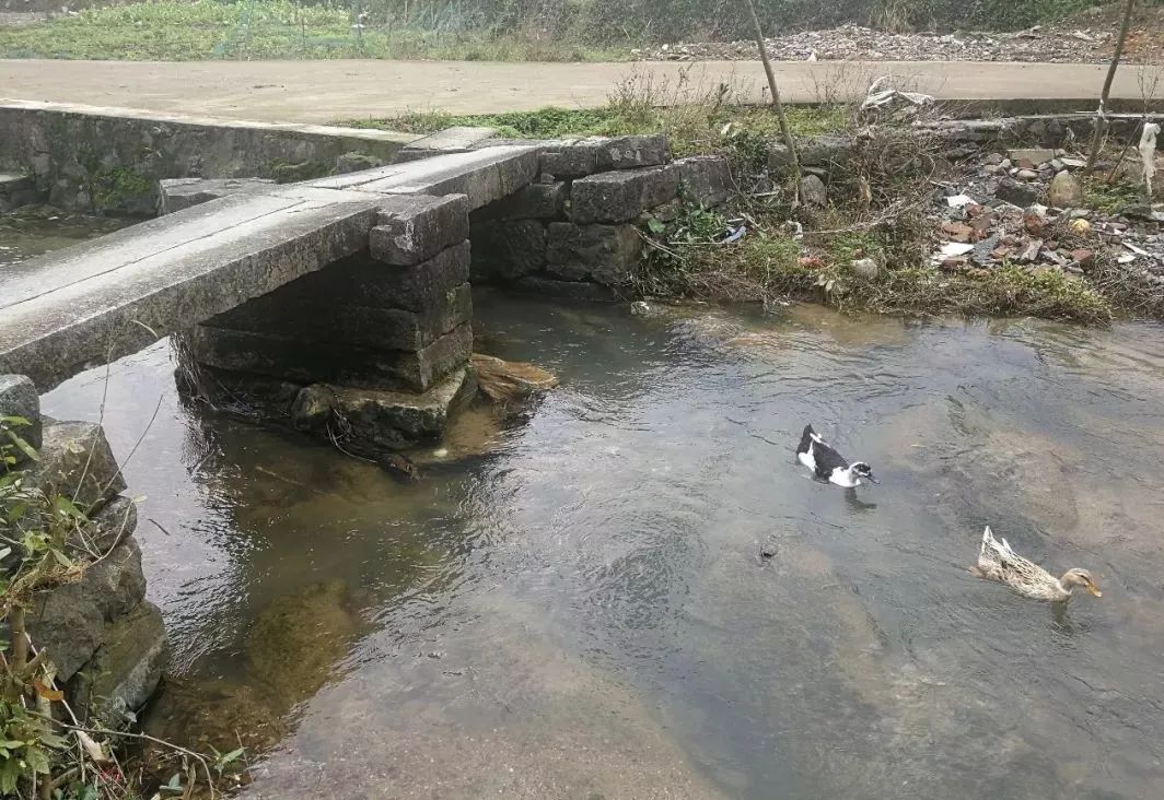 璐哄窞鏄ヨ妭鐗规畩椋庝織,璐哄窞瀹朵埂椋庝織鏂囧寲