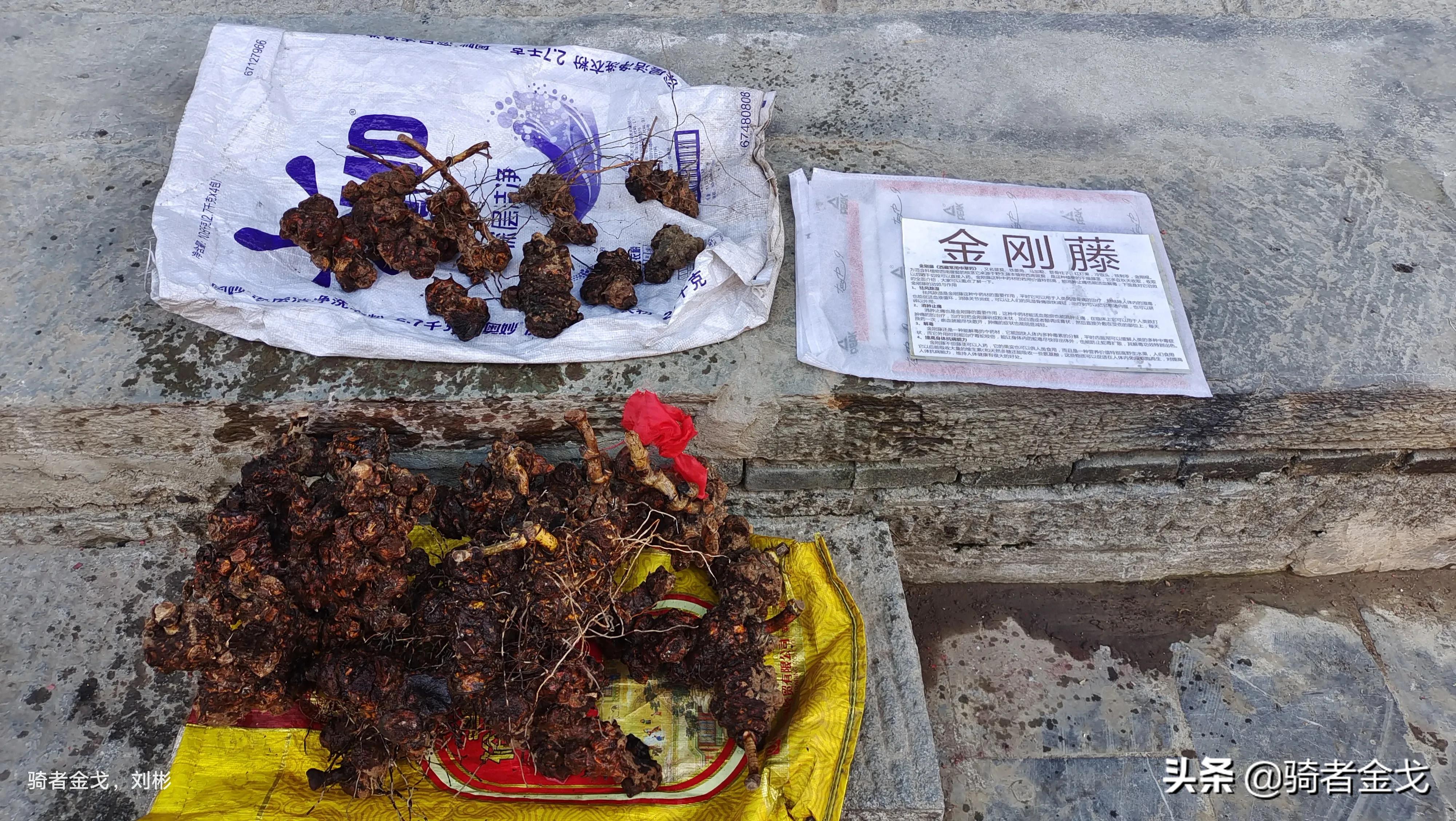 凤凰古城传说,凤凰古城沱江流过哪些地方