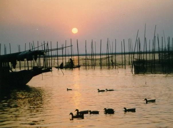 一位乡村扶贫干部的心声,一位乡党委书记的心里话