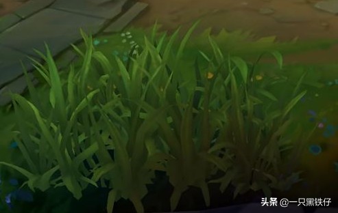 英雄联盟对抗路对线技巧与细节,英雄联盟下路草丛卡视野蹲人