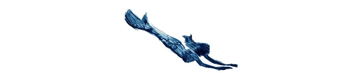 记录一个姑娘的最后一程