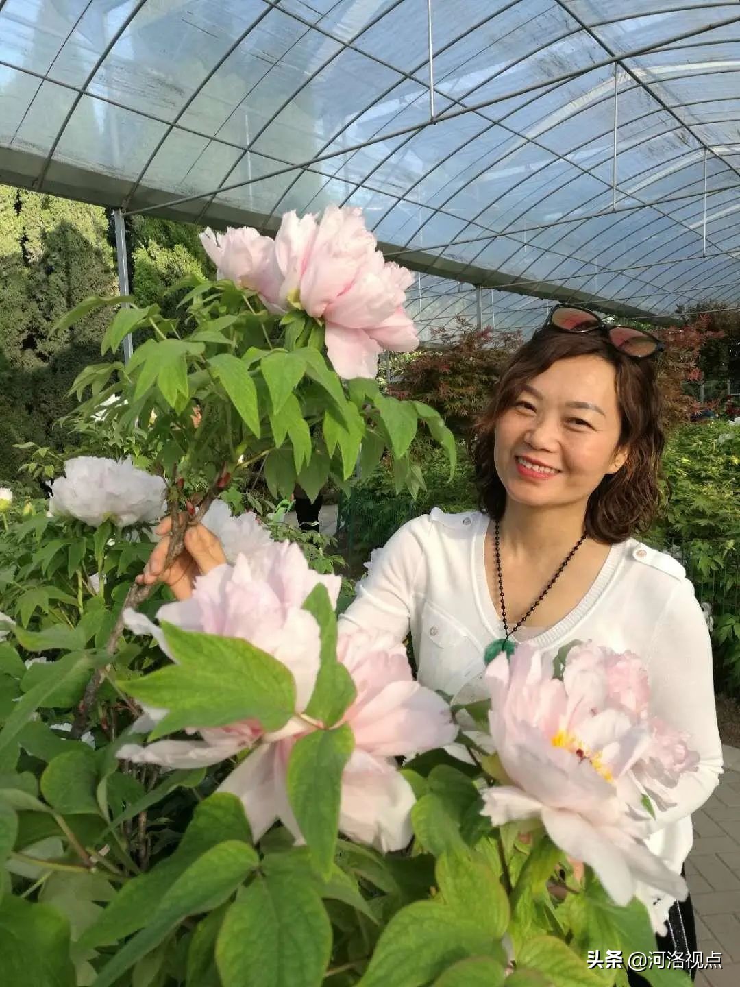 洛阳实验小学栾川分校,栾川实验小学栾川分校