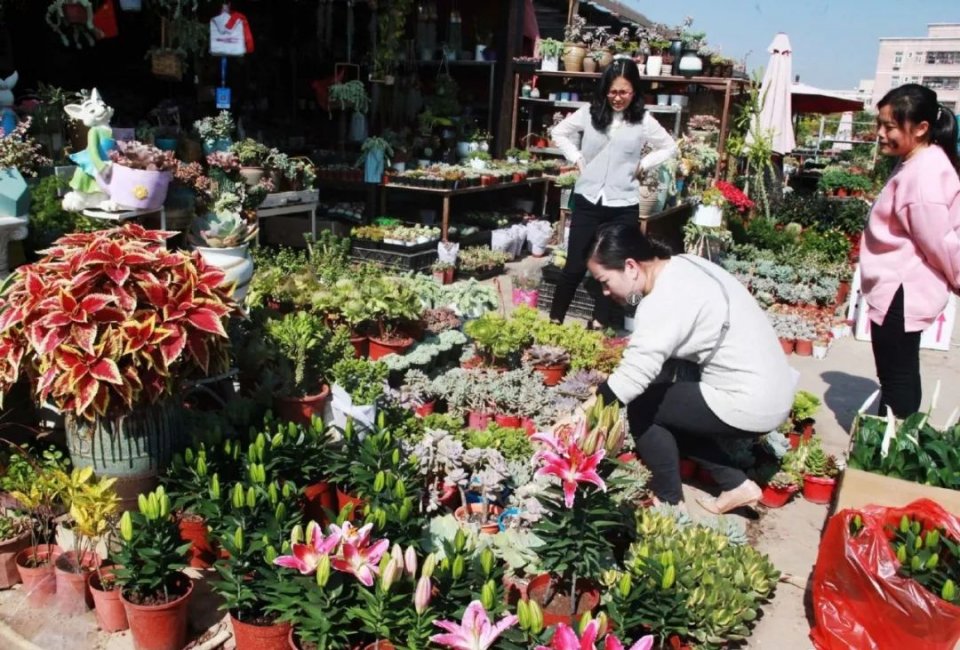 深圳最便宜年货批发市场货源,深圳年货市场哪里便宜