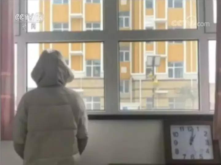 中国刑案解读,2017十大刑案点评