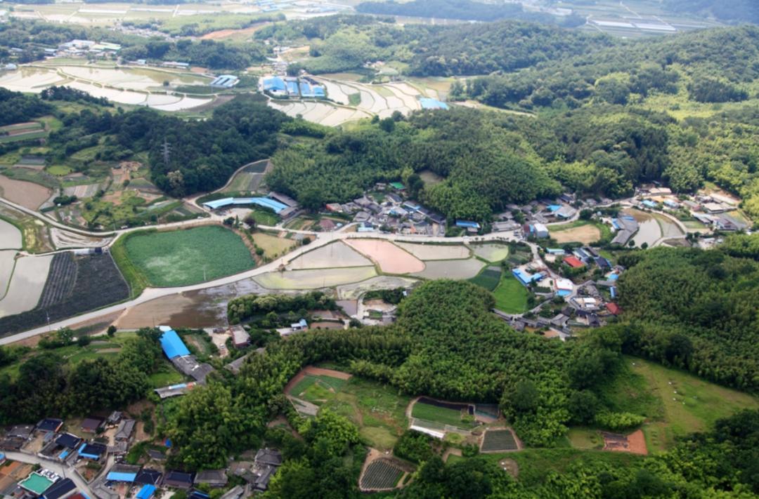 竹林被韩国申遗成功了吗,全球唯一申遗的古茶山