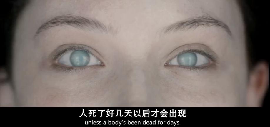 豆瓣7.5《无名女尸》：发生在停尸间的美国恐怖片