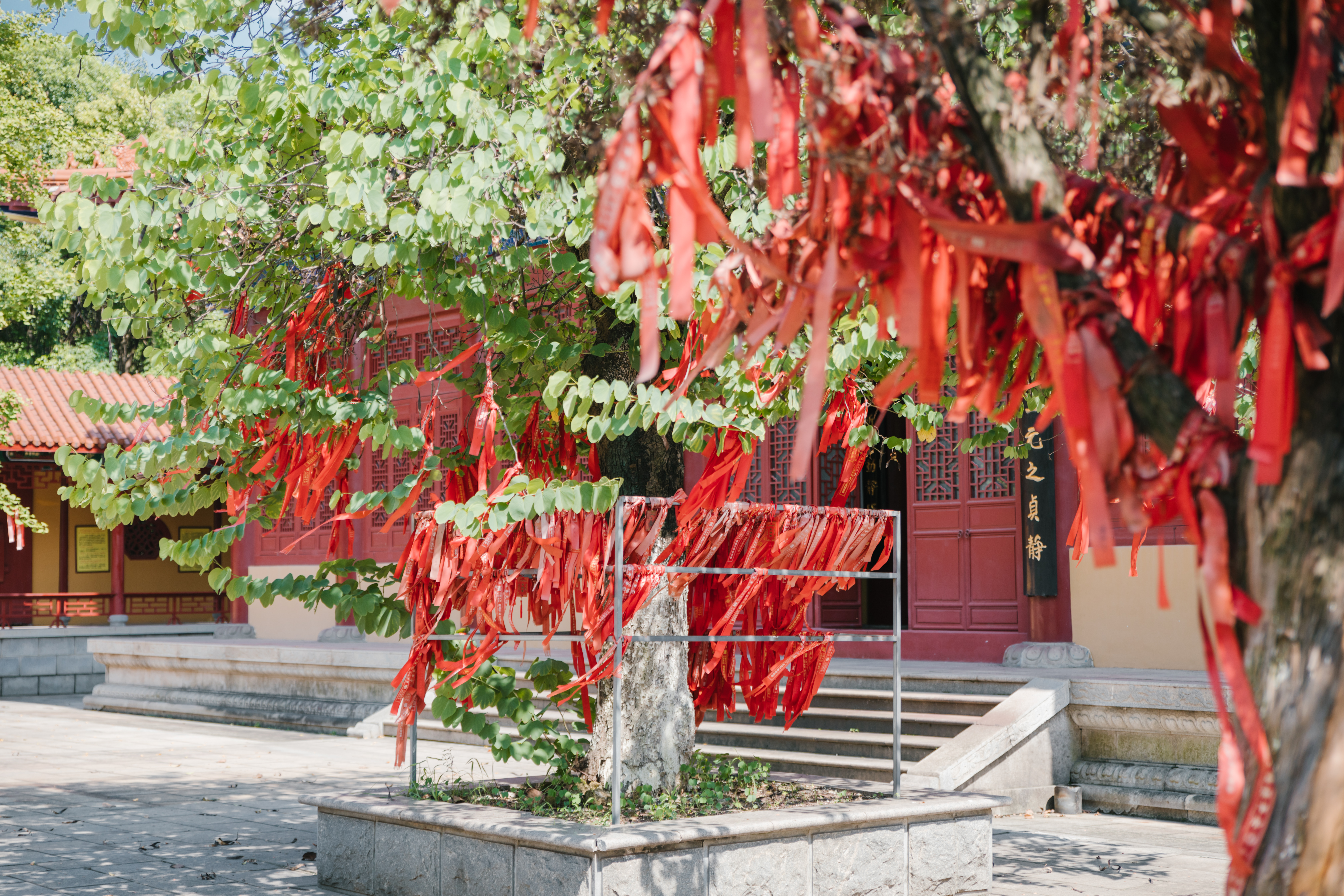 南昌之星摩天轮讲解,南昌之星摩天轮下面有什么玩