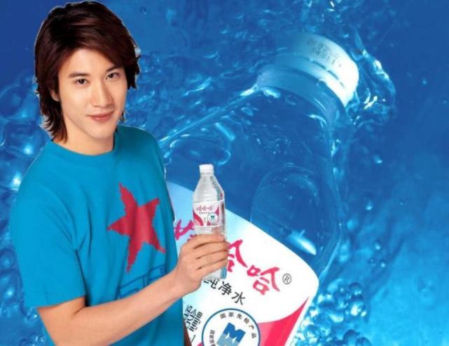 谢霆锋和王力宏谁更好,王力宏与谢霆锋