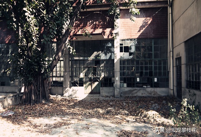 船厂生活区小区,攀枝花渡口船厂小区简介