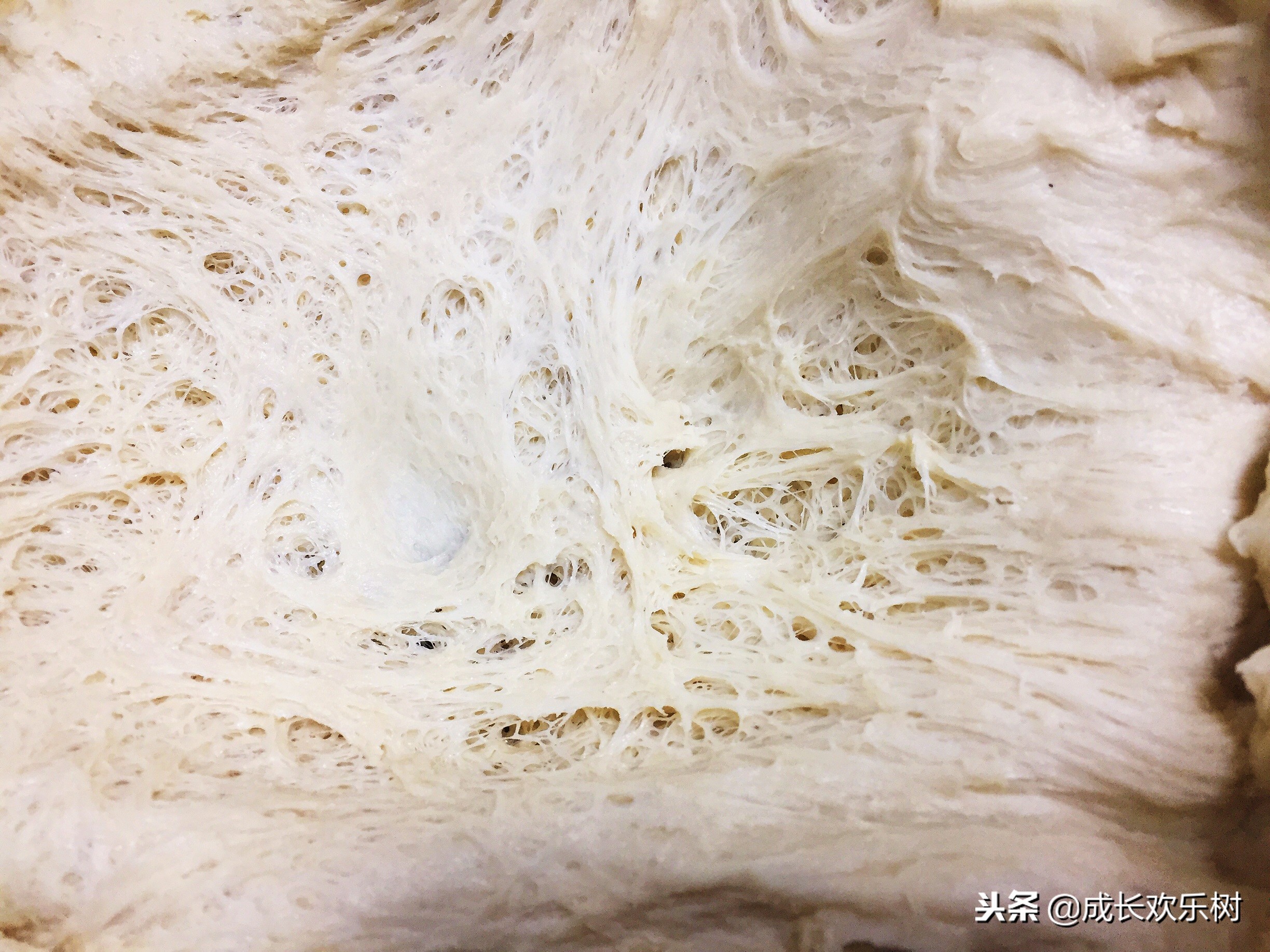 发面饼怎么做冷了不硬,冬天做发面饼怎样醒发的快